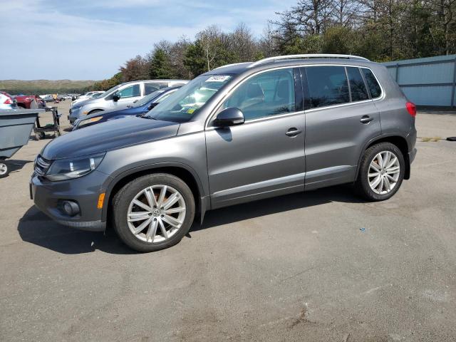 WVGBV3AX2DW579823 - 2013 VOLKSWAGEN TIGUAN S GRAY photo 1