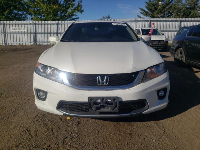 1HGCT1A89DA800845 - 2013 HONDA ACCORD EXL WHITE photo 5