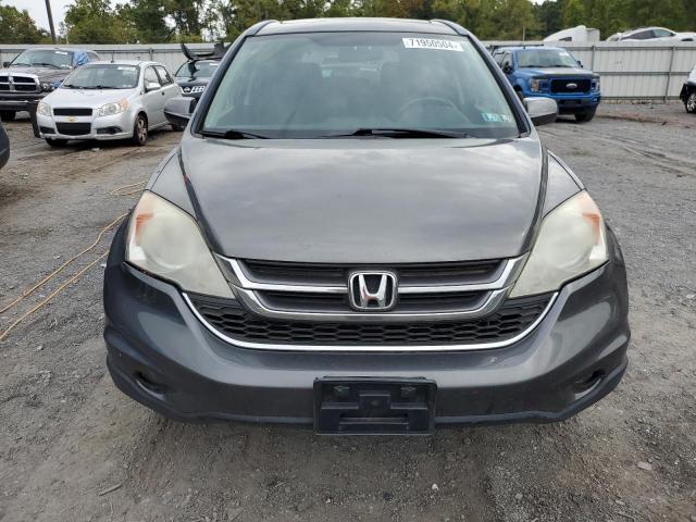 5J6RE4H76BL057008 - 2011 HONDA CR-V EXL GRAY photo 5