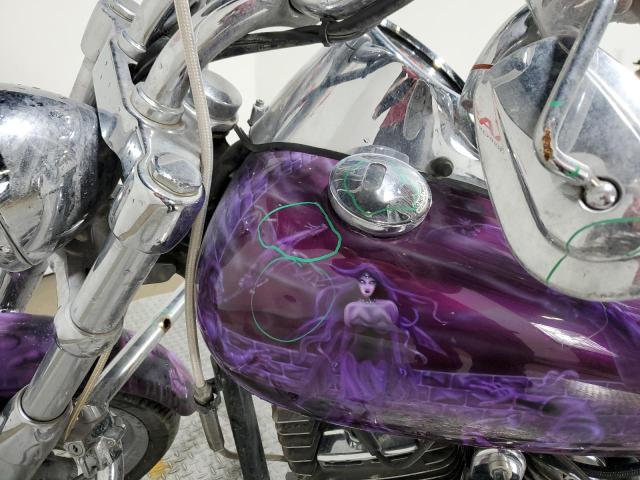 1HD1JBB116Y031026 - 2006 HARLEY-DAVIDSON FXSTDI PURPLE photo 10