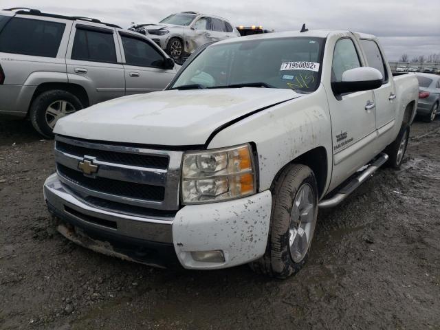 3GCEC23099G185520 - 2009 CHEVROLET SILVERADO C1500 LT WHITE photo 1