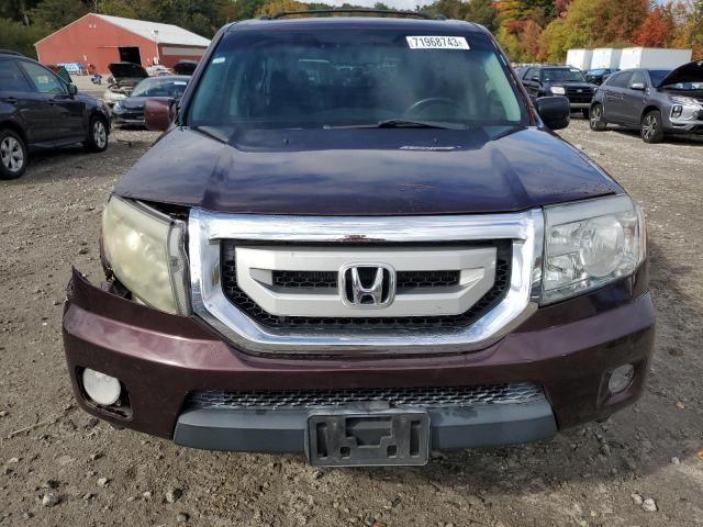 5FNYF48519B030941 - 2009 HONDA PILOT EXL MAROON photo 5