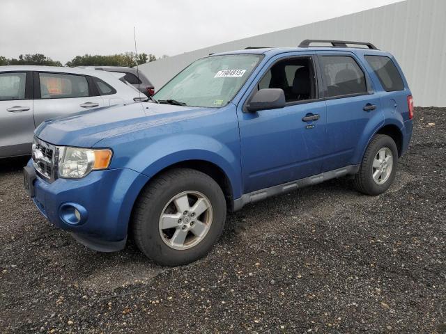 2010 FORD ESCAPE XLT, 
