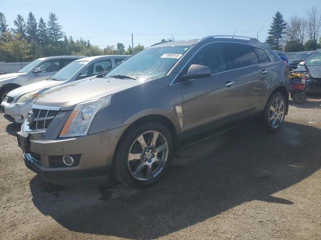 2011 CADILLAC SRX PERFORMANCE COLLECTION, 