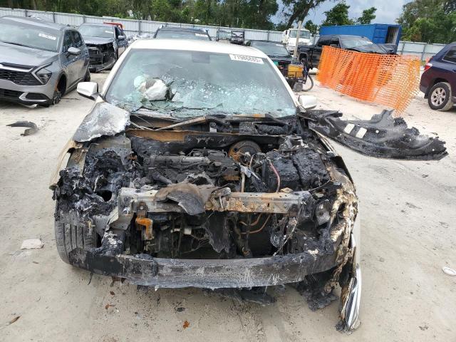 1G11F5RRXDF102970 - 2013 CHEVROLET MALIBU 2LT თეთრი ფოტო 5