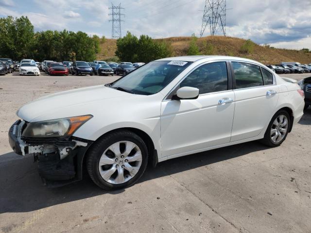 2010 HONDA ACCORD EXL, 