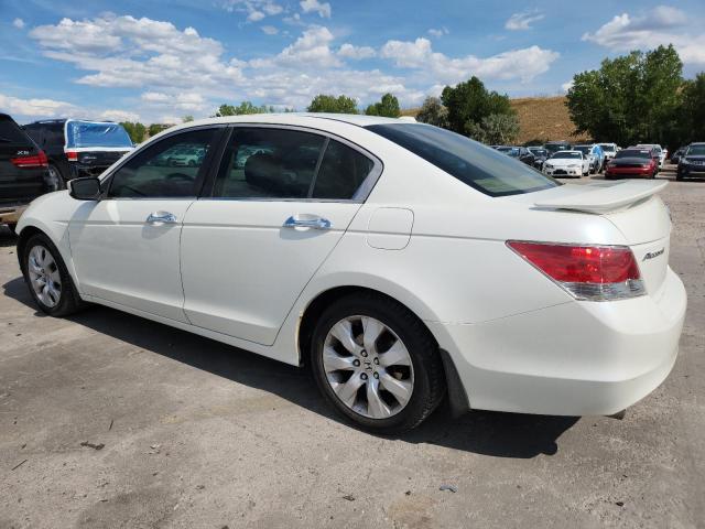 1HGCP3F84AA000894 - 2010 HONDA ACCORD EXL WHITE photo 2