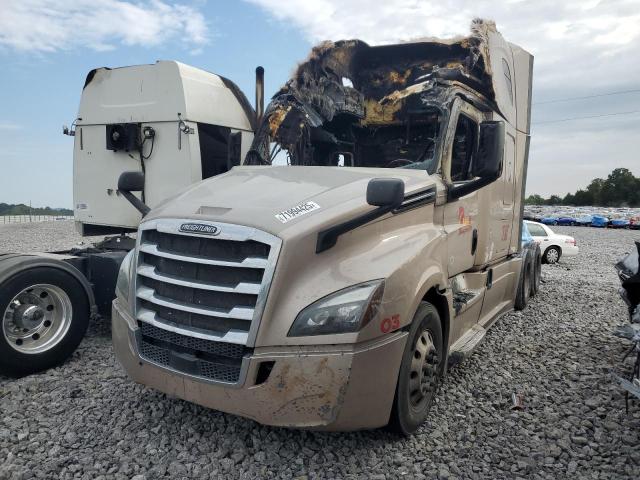 3AKJHHDR3KSJW8928 - 2019 FREIGHTLINER CASCADIA 1 თაფლისფერი ფოტო 2