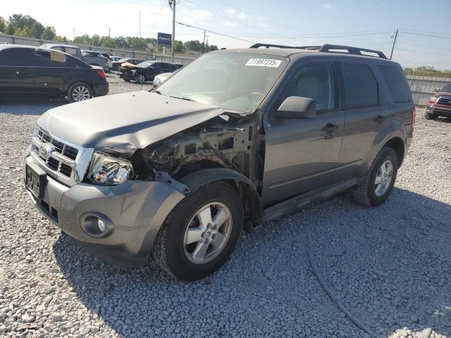 2011 FORD ESCAPE XLT, 