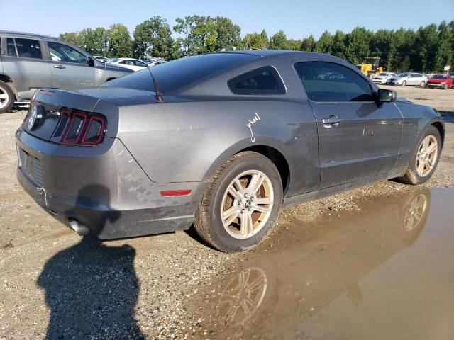 1ZVBP8AM3E5236203 - 2014 FORD MUSTANG GRAY photo 3