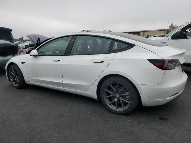 5YJ3E1EA2MF067003 - 2021 TESLA MODEL 3 Ağ foto 2