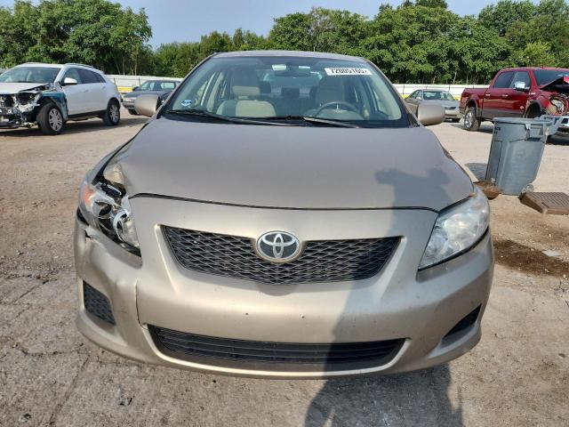 1NXBU4EE6AZ219284 - 2010 TOYOTA COROLLA BASE ოქროსფერი ფოტო 5