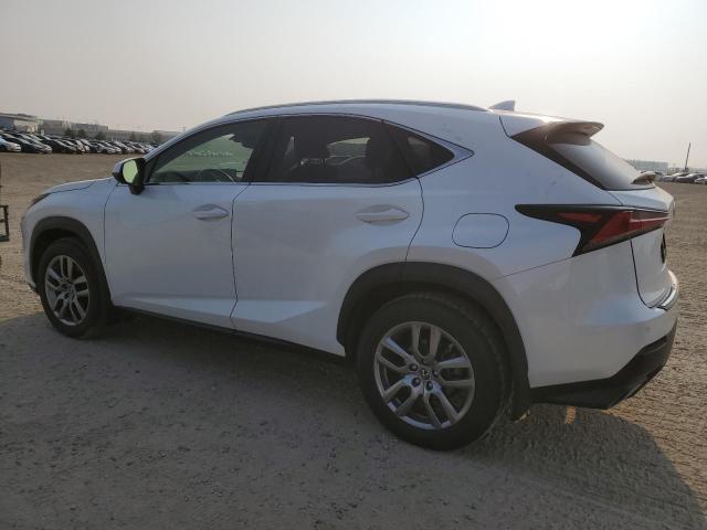 JTJBARBZ3K2199295 - 2019 LEXUS NX 300 BASE WHITE photo 2