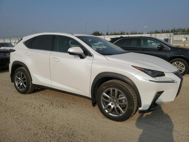 JTJBARBZ3K2199295 - 2019 LEXUS NX 300 BASE WHITE photo 4