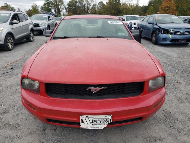 1ZVFT80N255249242 - 2005 FORD MUSTANG RED photo 5