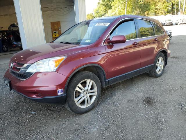 2010 HONDA CR-V EXL, 