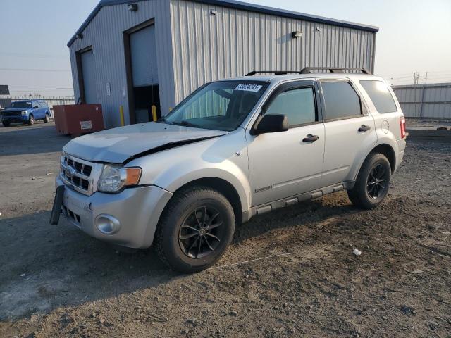 2008 FORD ESCAPE XLT, 