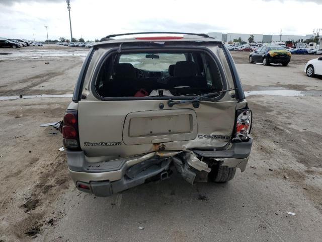 1GNDT13S132213986 - 2003 CHEVROLET TRAILBLAZE TAN photo 6