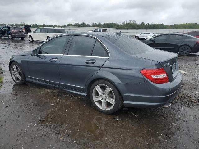 WDDGF8BB3AR091858 - 2010 MERCEDES-BENZ C 300 4MATIC GRAY photo 2