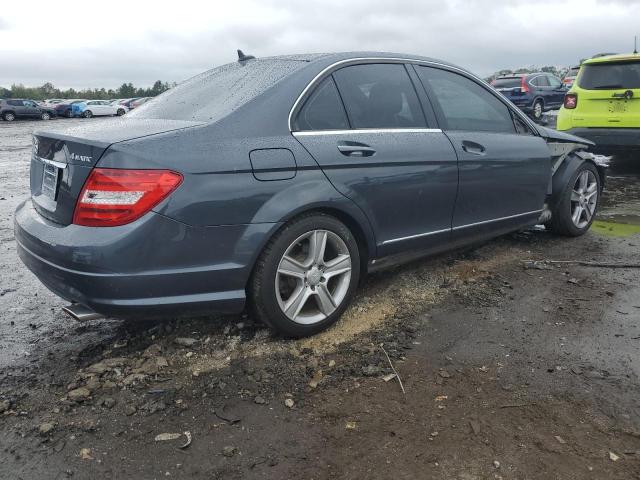 WDDGF8BB3AR091858 - 2010 MERCEDES-BENZ C 300 4MATIC GRAY photo 3