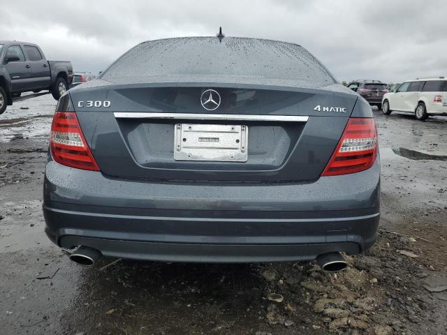 WDDGF8BB3AR091858 - 2010 MERCEDES-BENZ C 300 4MATIC GRAY photo 6