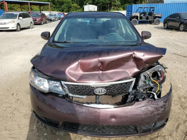 KNAFU4A22B5891675 - 2011 KIA FORTE EX PURPLE photo 5