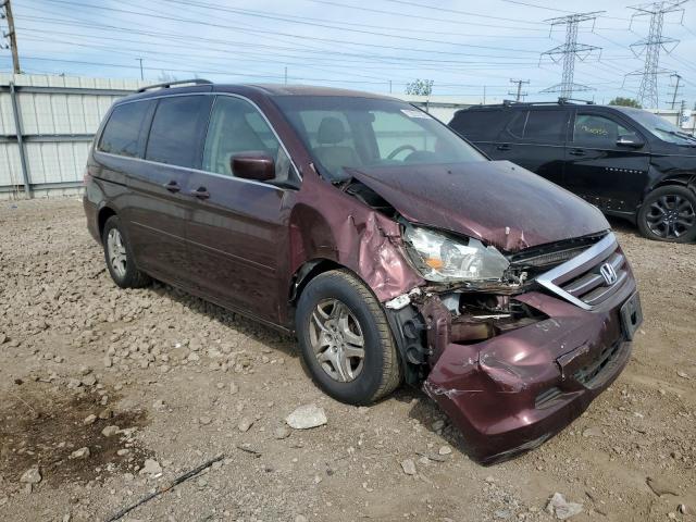 5FNRL38647B449329 - 2007 HONDA ODYSSEY EXL BURGUNDY photo 4