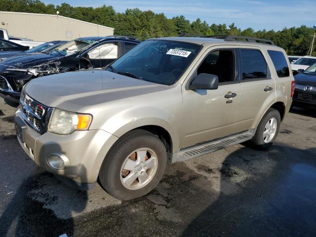 2011 FORD ESCAPE XLT, 