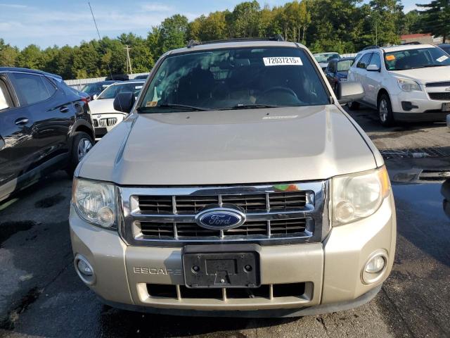 1FMCU9DG3BKC24489 - 2011 FORD ESCAPE XLT BEIGE photo 5