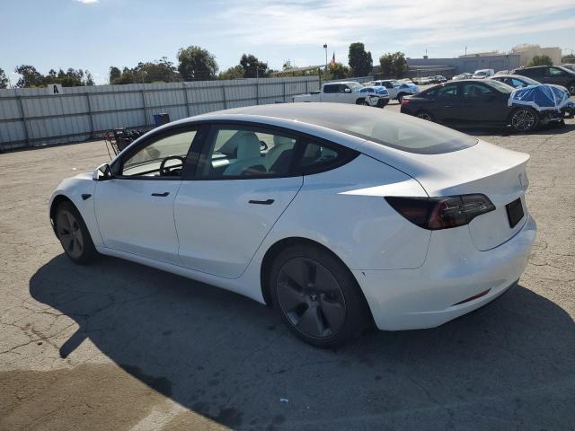 5YJ3E1EA9PF384359 - 2023 TESLA MODEL 3 Ağ foto 2