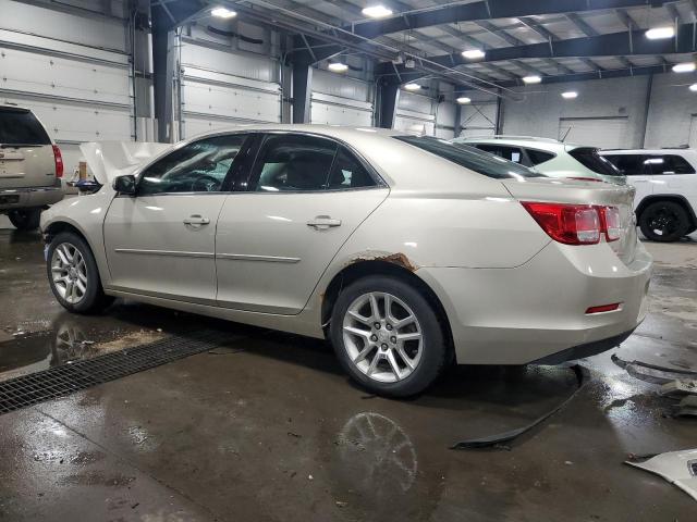 1G11C5SAXDF227772 - 2013 CHEVROLET MALIBU 1LT BEIGE photo 2