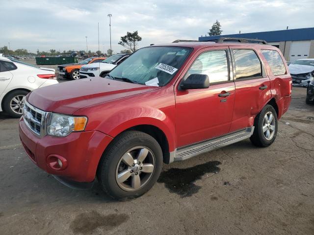 2010 FORD ESCAPE XLT, 