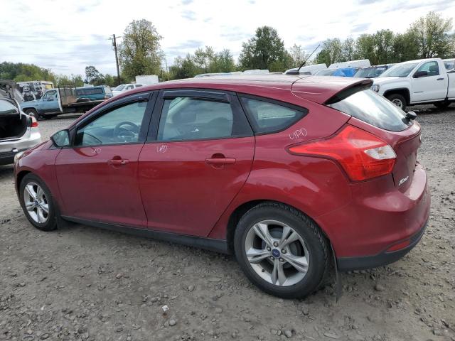 1FADP3K24DL196354 - 2013 FORD FOCUS SE RED photo 2