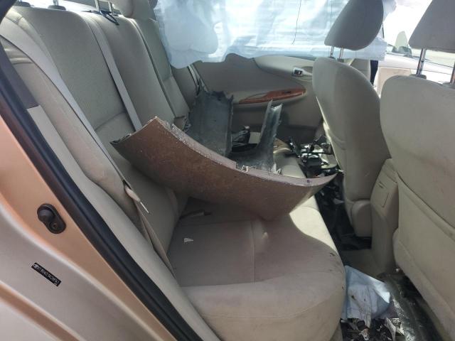 2T1BU4EE1AC288143 - 2010 TOYOTA COROLLA BASE GOLD photo 10