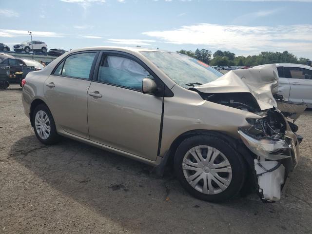 2T1BU4EE1AC288143 - 2010 TOYOTA COROLLA BASE GOLD photo 4