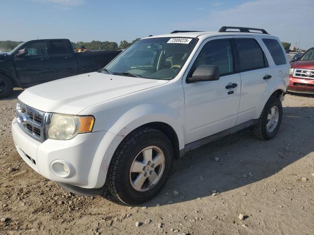 2011 FORD ESCAPE XLT, 