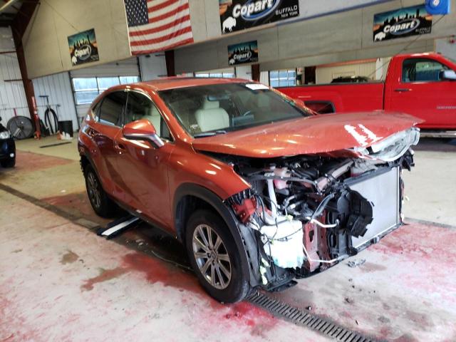 JTJDARDZ3L2219181 - 2020 LEXUS NX 300 ORANGE photo 4