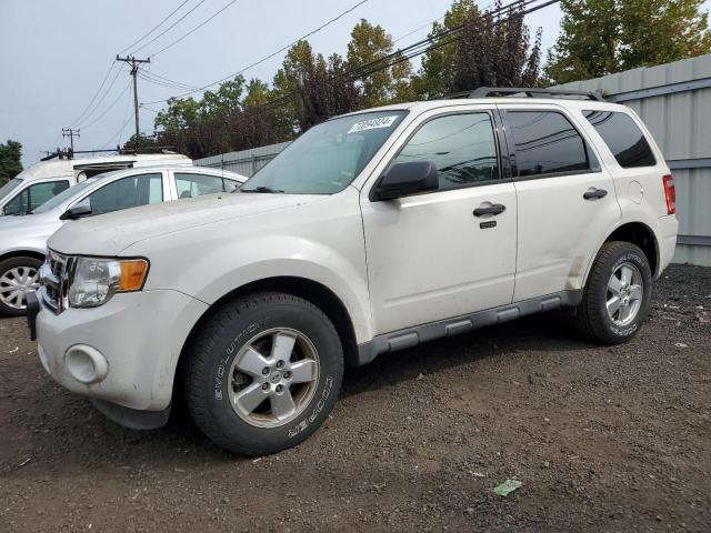 2012 FORD ESCAPE XLT, 