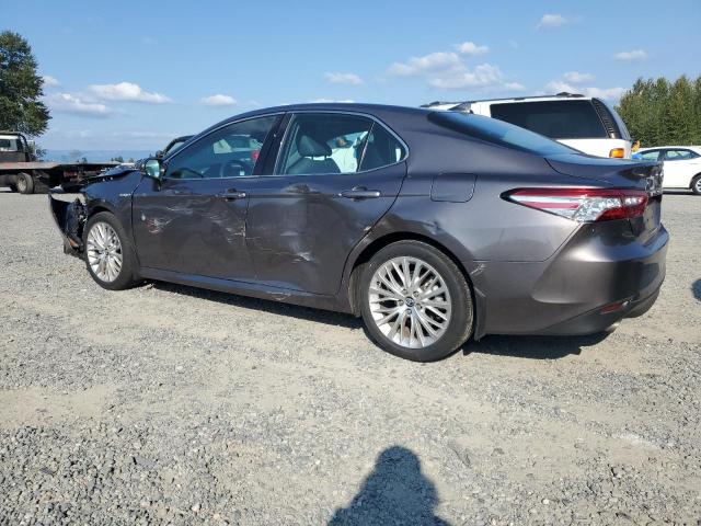 4T1F31AK4LU529256 - 2020 TOYOTA CAMRY XLE GRAY photo 2