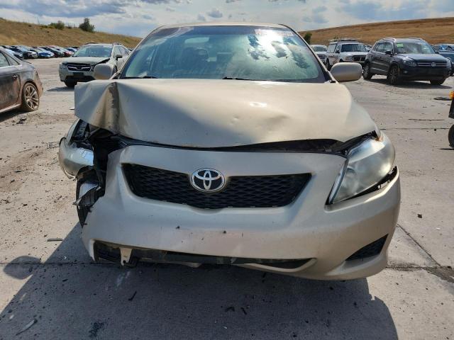 1NXBU40E69Z137431 - 2009 TOYOTA COROLLA BASE Bej foto 5