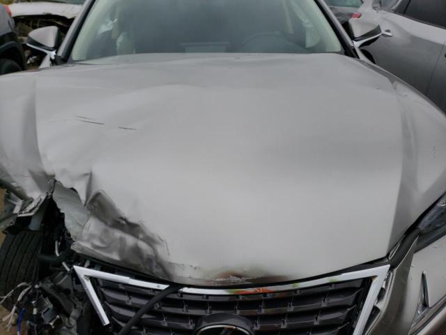 JTJGARDZ3M5030611 - 2021 LEXUS NX 300 BASE Boz foto 12