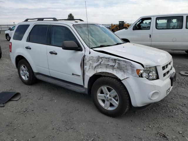 1FMCU5K33AKC89723 - 2010 FORD ESCAPE HYBRID WHITE photo 4