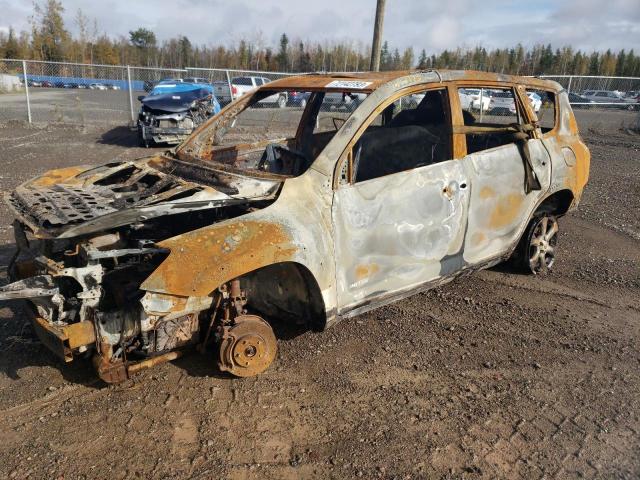 2T3DF4DV9AW057209 - 2010 TOYOTA RAV4 LIMITED BURN photo 1