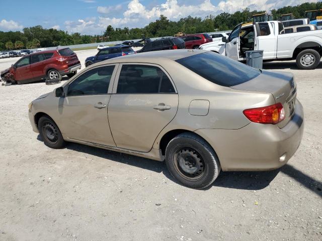 2T1BU4EE9AC533464 - 2010 TOYOTA COROLLA BASE BEIGE photo 2