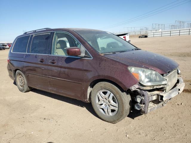 5FNRL38467B130223 - 2007 HONDA ODYSSEY EX BURGUNDY photo 4