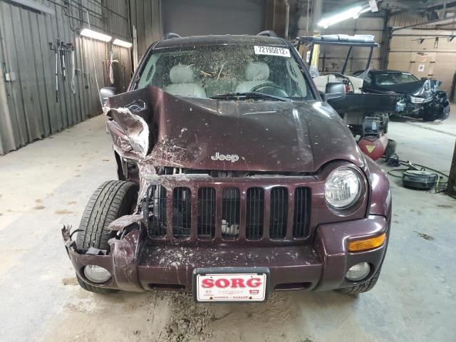 1J4GL58K64W188108 - 2004 JEEP LIBERTY LIMITED PURPLE photo 5