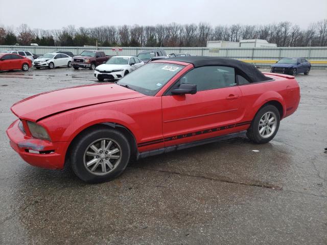 1ZVHT84N285138066 - 2008 FORD MUSTANG RED photo 1