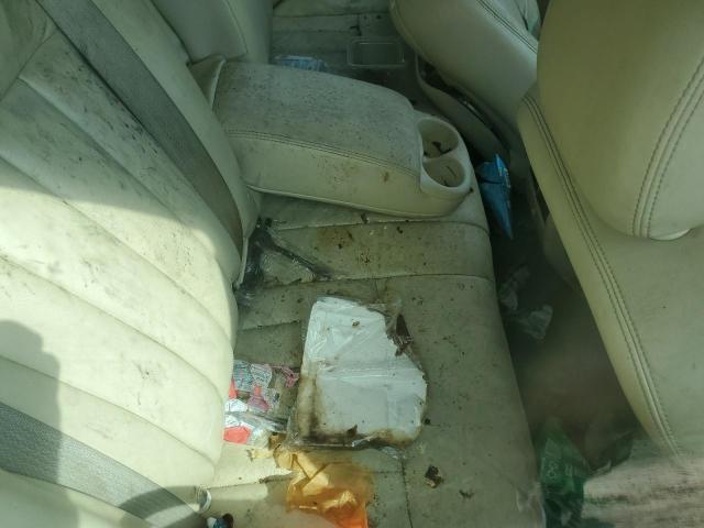 1LNHM81W43Y704017 - 2003 LINCOLN TOWN CAR EXECUTIVE TAN photo 10