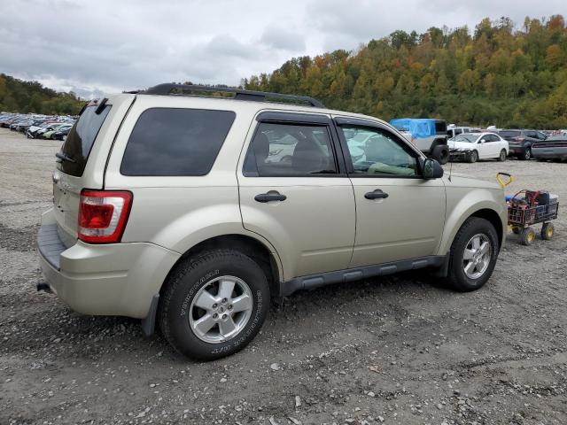 1FMCU9D76BKB67494 - 2011 FORD ESCAPE XLT GOLD photo 3