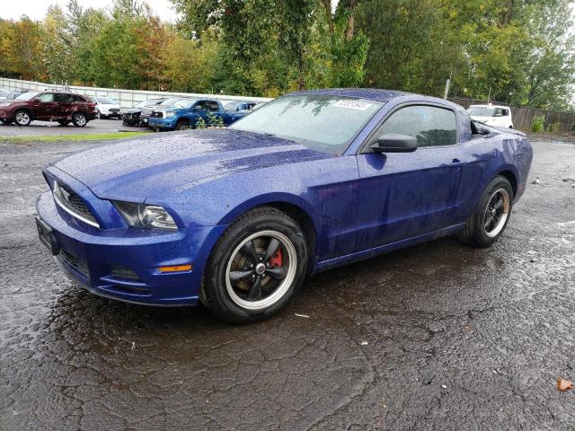 1ZVBP8AM5D5255530 - 2013 FORD MUSTANG BLUE photo 1